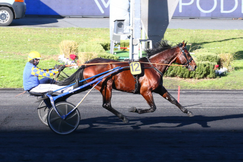 Kennedy till VM-loppet