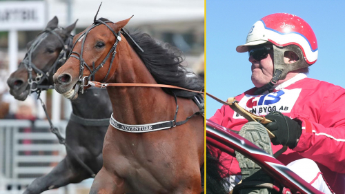 Vår vinnare i nya storloppet