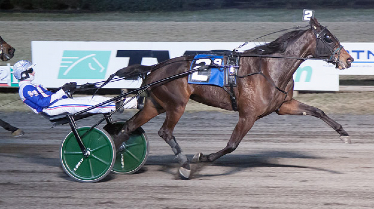 Ab'sattitudexpress blev världens snabbaste sto anno 2022 när hon vann för Scott Zeron i natt. Foto: Lisa Photo