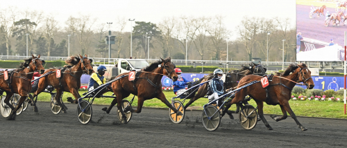 Svecak bäst av svenskar