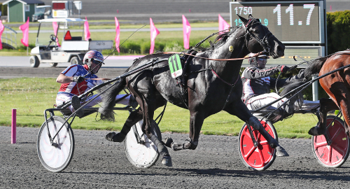 V75-torkan är över