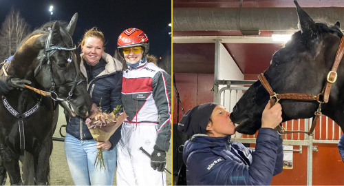 V86-favorit mot alla odds