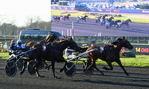 Goeland d’Haufor höll undan