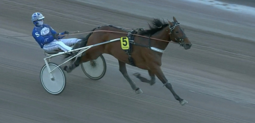 Sjufaldig miljonärska