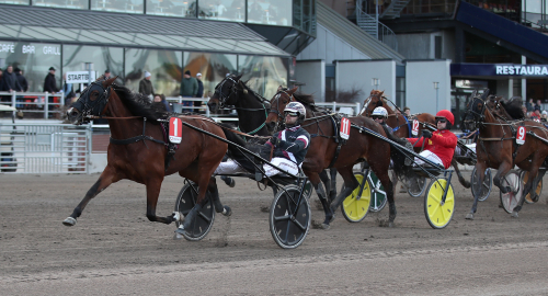 Fölsto dyrast hos Kolgjini