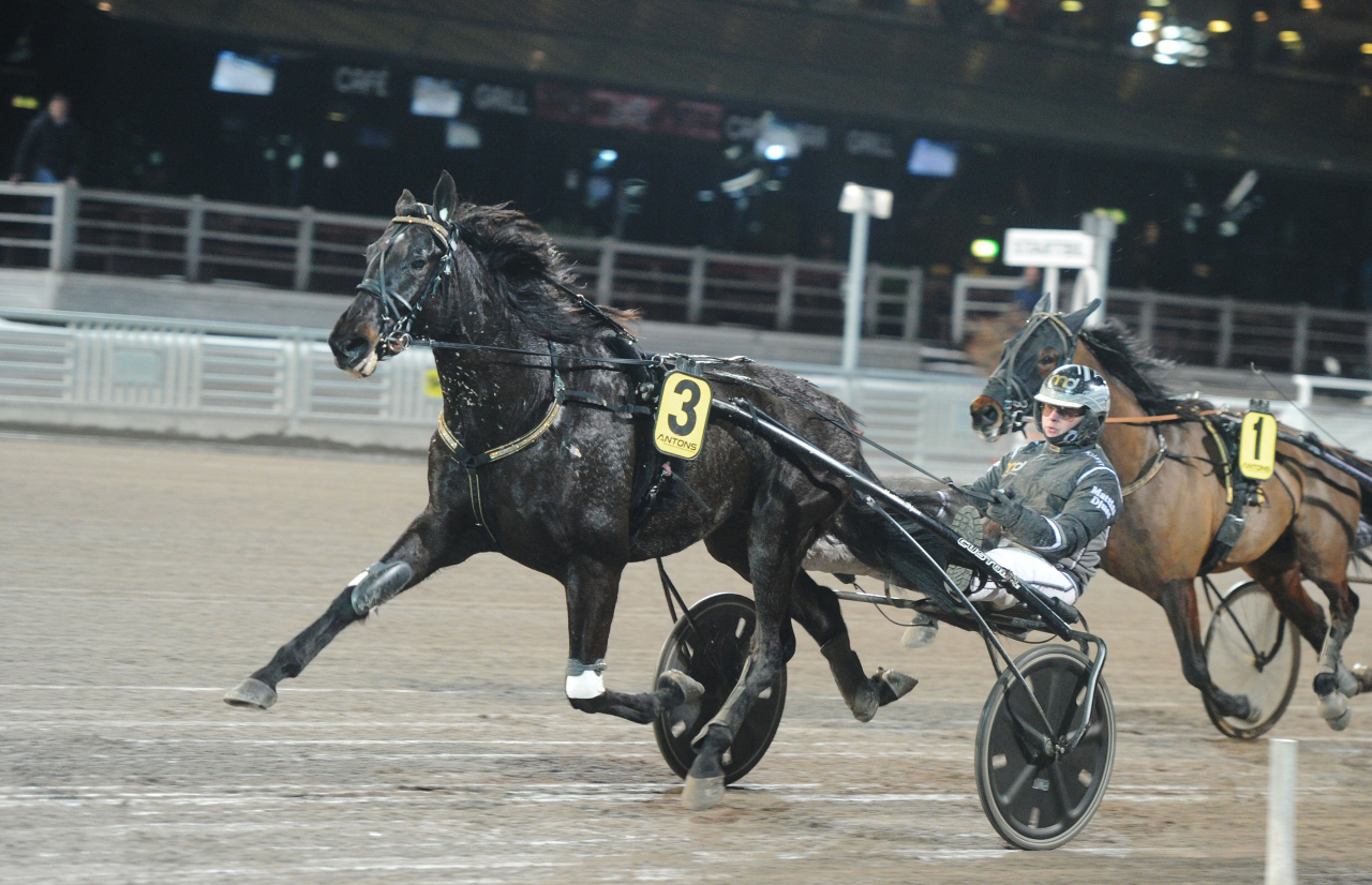 Chico de Calamar och Mattias Djuse vid gårdagens debutvinst på Solvalla. Foto: Adam Ström/stalltz.se