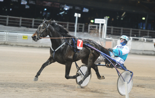 En promenad i parken