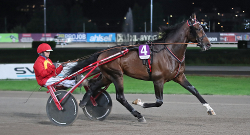 ”Ofattbar kraft i hästen”