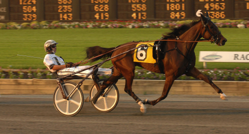 Lantern Kronos har blivit mor