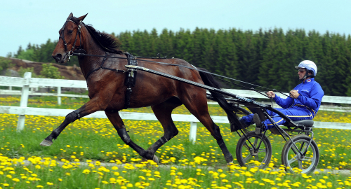 Världsrekordhållare dyraste