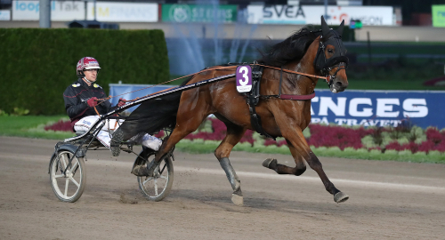 V86: ”Drömmer om Sprintermästaren”