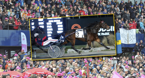 Årets Häst mot Elitloppet