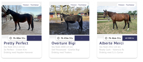 Premiär för ASVT-auktion