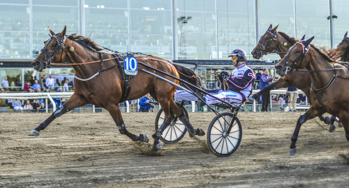 Staro Miami till Ready Cash