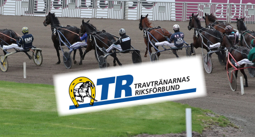 Tränarna vill in i ST:s styrelse