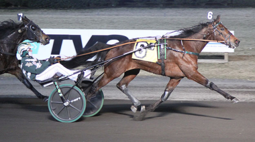 Blågul tränartrippel i USA