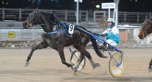 ”Det här är en bättre häst”