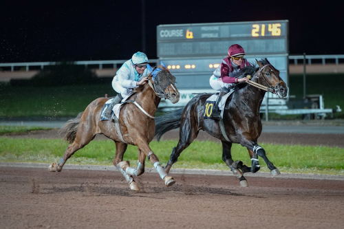 Sadelstjärna på topptid