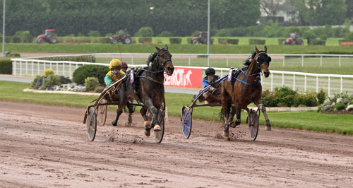 Andra raka för Vivid Wise As