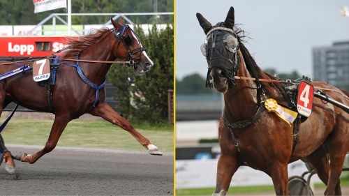 En försmak av Stochampionatet