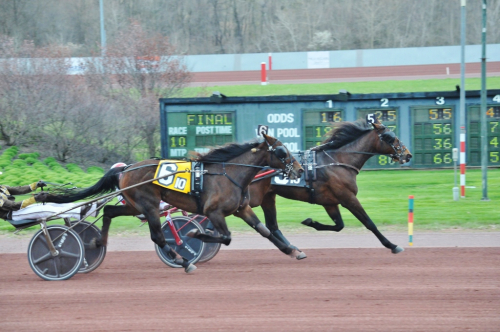 Consolation till Takter