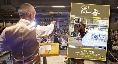 Guide: Elitauktionen i siffror