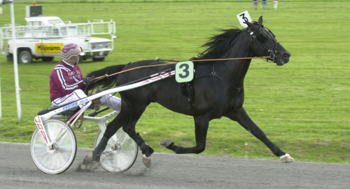 Trot-uppfödaren ur tiden