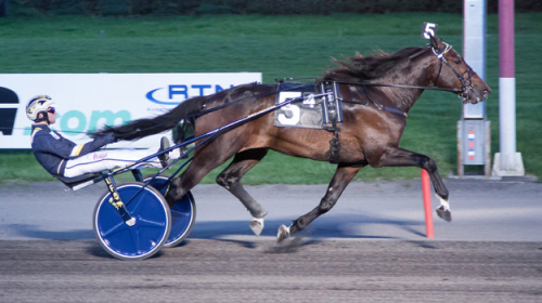 Svenskfödd etta på Meadowlands