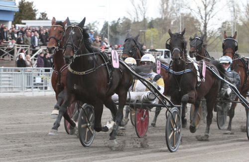 Önas Prince till Elitloppet