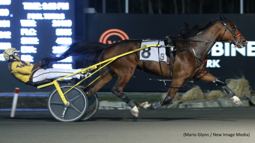 ”Elitloppshäst” gick på pumpen