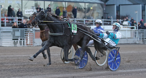 Guldvinnare i årsdebut