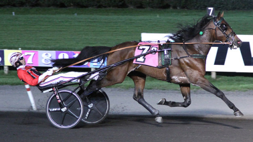 Senna – även på en travbana!