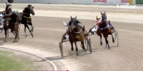 Duva sänkte storfavorit