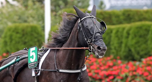 Uret en av elva vinnare