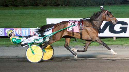 Back of the Neck akterseglad