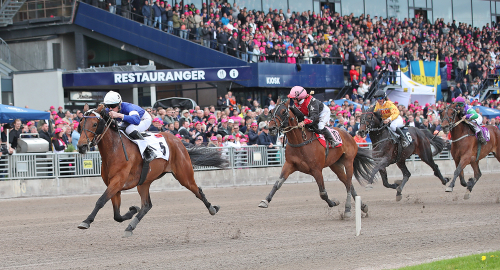 Florida Sport bjöd på sport