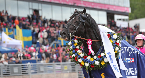 Elitkampen: ”Knappt tränad”