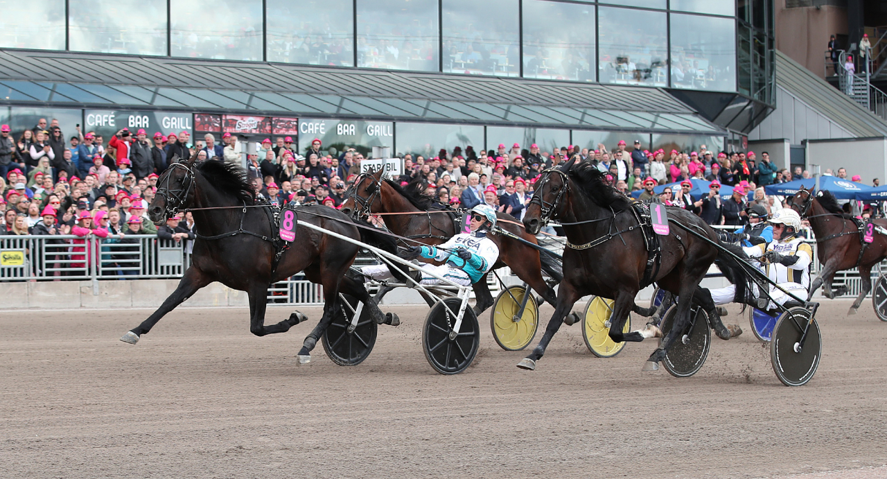 Don Fanucci Zet och Örjan Kihlström vid seger i Elitloppsförsöket. Foto Mathias Hedlund/Sulkysport
