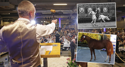 Svarta kronor och röda ören