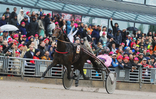 Avel på heltid HH-vinnare