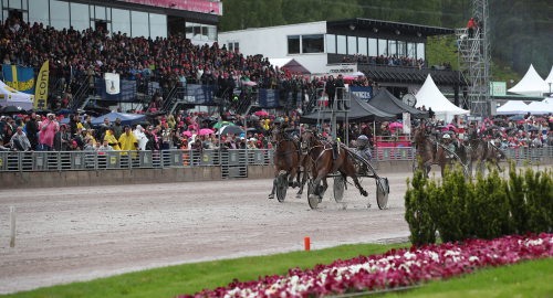 Nytt auktionslopp på Solvalla