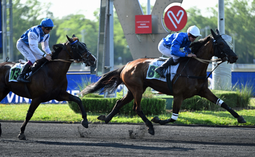 Svensktränad montévinst på 1.10-tid