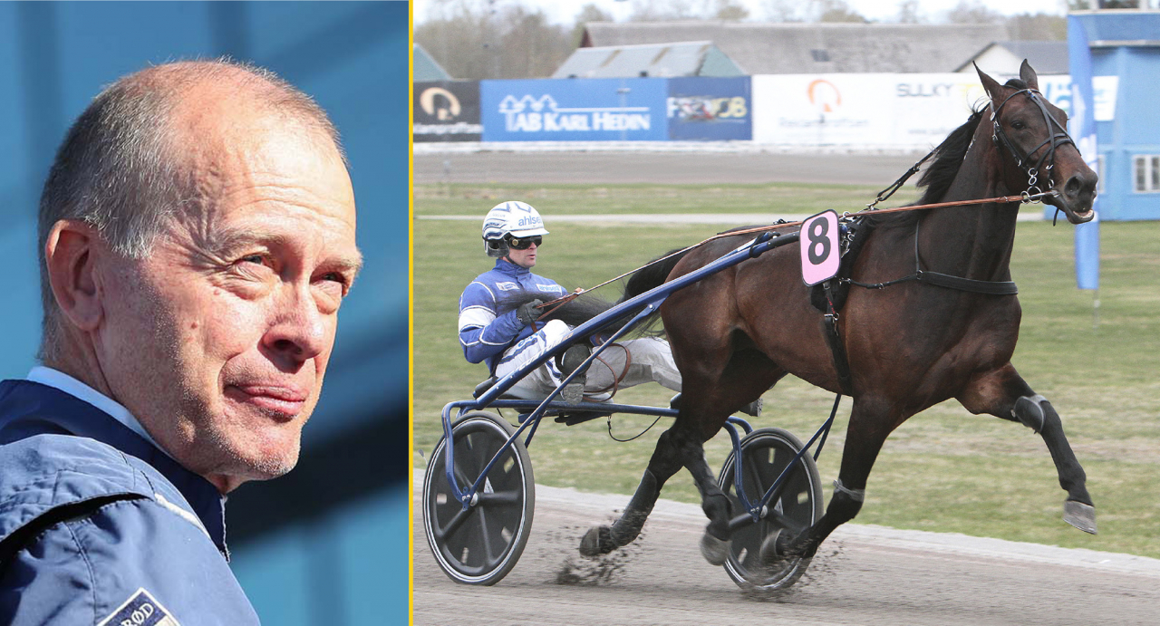 Frode Hamre kollar in Beads och Erik Adielsson. Foto Jeannie Karlsson/Sulkysport & Gunilla König/Stalltz.se