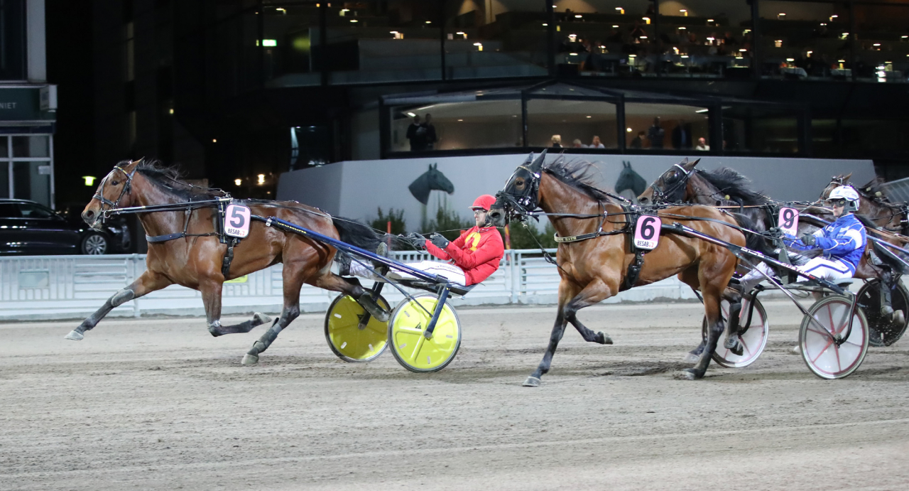 Imhatra Am vinner för Mats E Djuse. Foto Mathias Hedlund/Sulkysport
