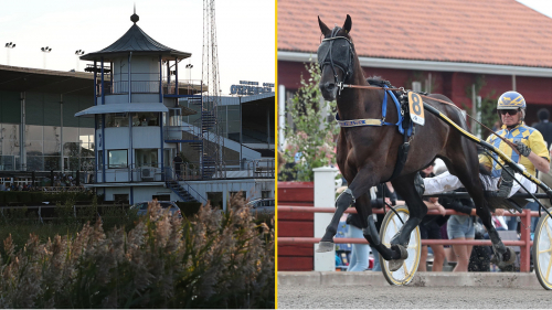 Från Jarl Kulle till Sean Banan