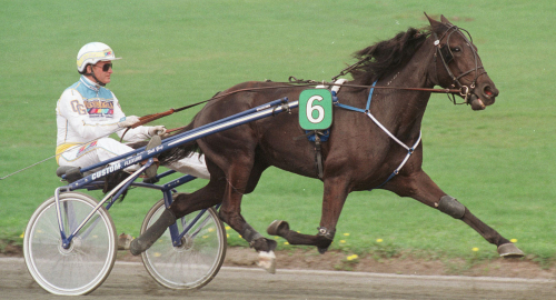 Har hittat rätt i Strängnäs
