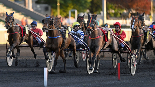 Storseger för Malmqvist
