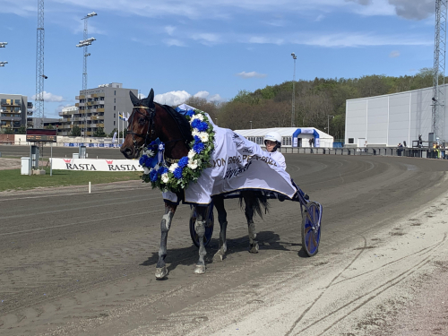 Allt talar för Elitloppet