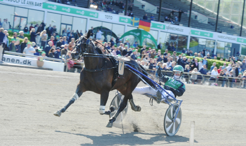 Nytillskott hos Gocciadoro