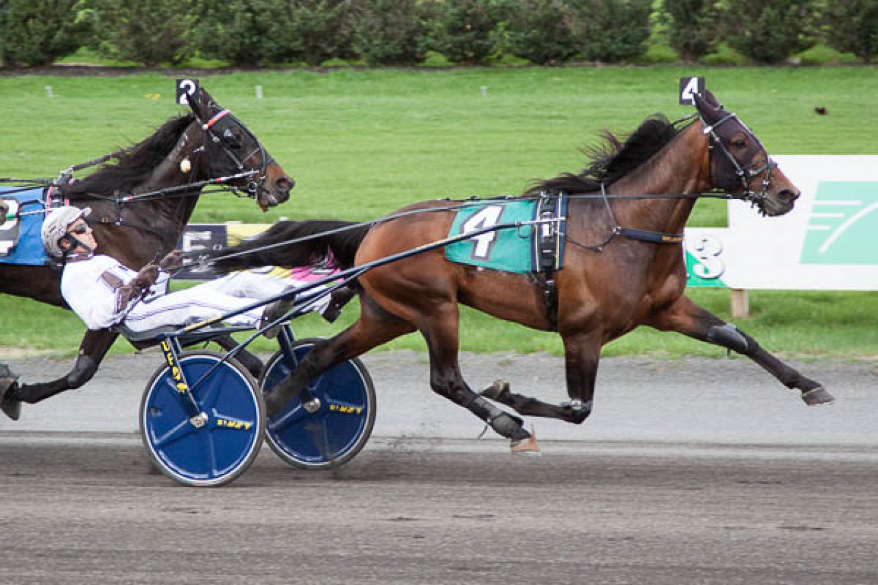 Sonofamistery tog tredje årssegern igår på Meadowlands. Foto: Lisa Photo